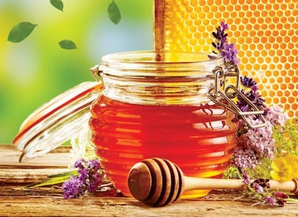 تصویر 3 از راهنمای خرید عسل جنگلی رشت  + قیمت عالی